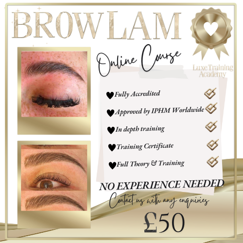 Brow Lamination Online Course