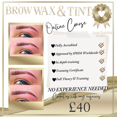 Brow Wax and Tint Online Course