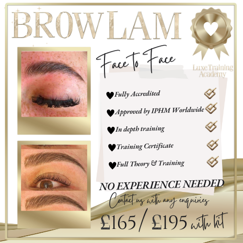 Brow Lamination Face to Face Course