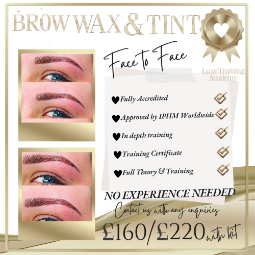 Brow Wax and Tint Face to Face Course
