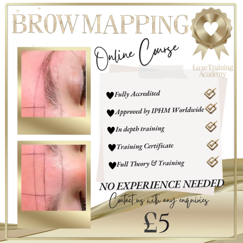 Brow Mapping Online Course